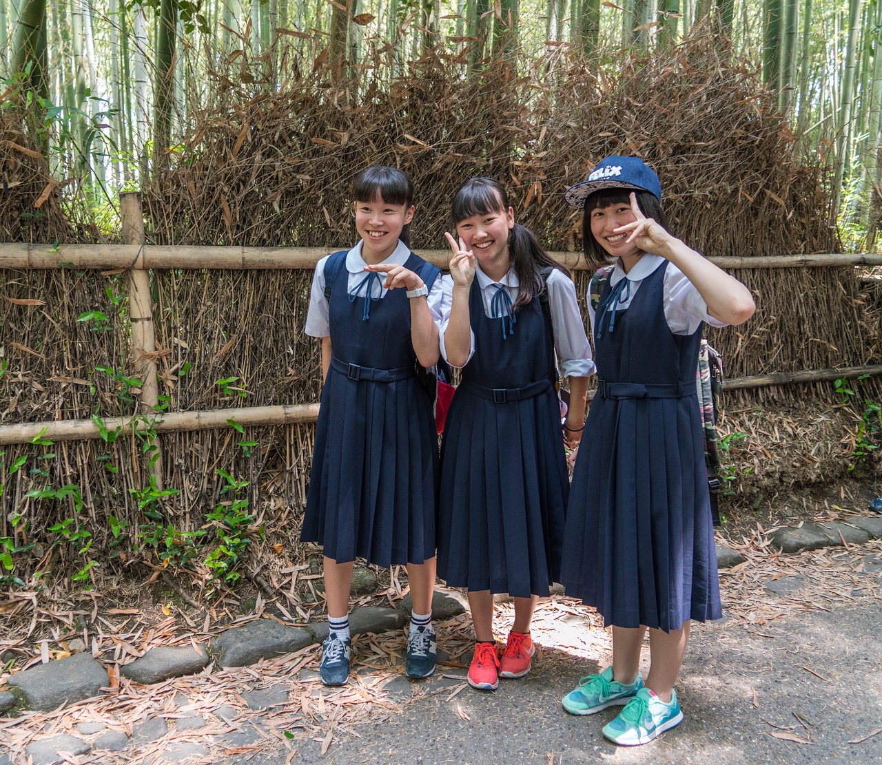 T大最新小说，青春色彩与探索之旅