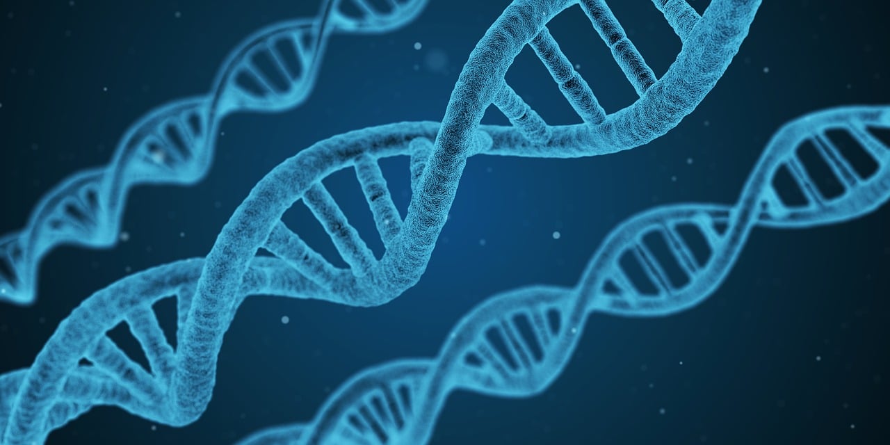 五月最新肾糖阈值研究，糖尿病防治的新视角
